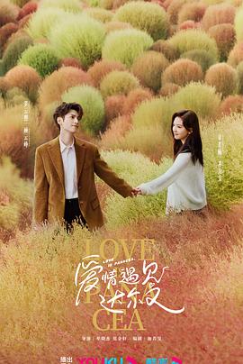 网站优化排名去哪家